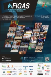 Afiche Foro Internacional del Gas y Energía -FIGAS 2013 en Tarija