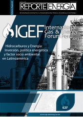 Edicion Especial International Gas & Energy Forum IGEF 2013
