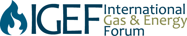 Logos IGEF-transp