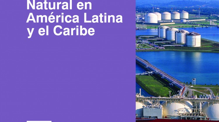 Informe ARPEL Tendencias del sector gas natural